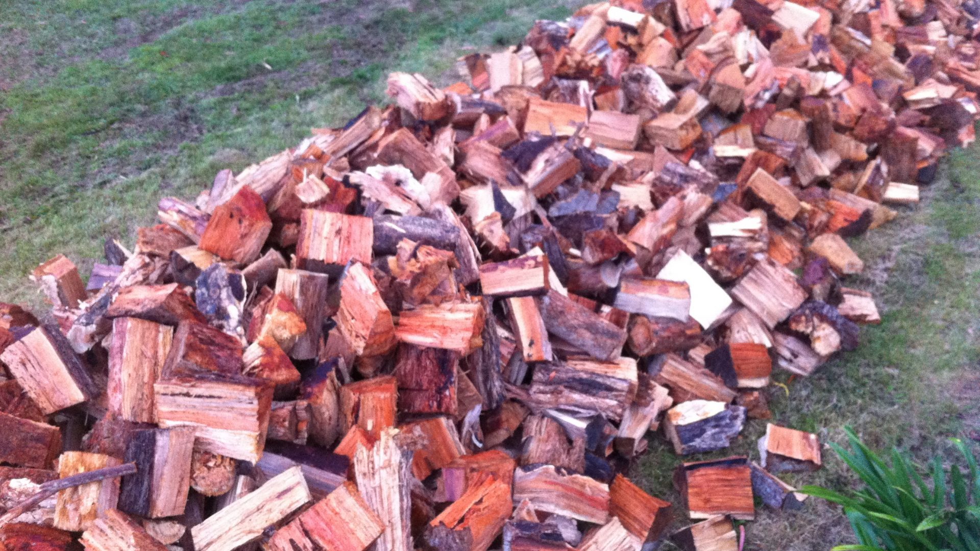 After Tree Removal, Hire A Hydraulic Log Splitter